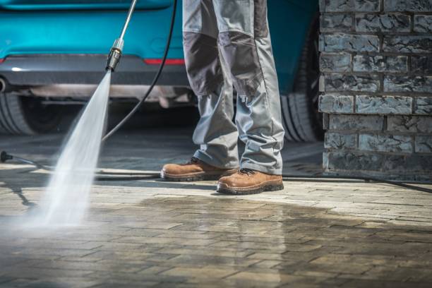 Best Dumpster Area Cleaning  in Mount Zion, GA